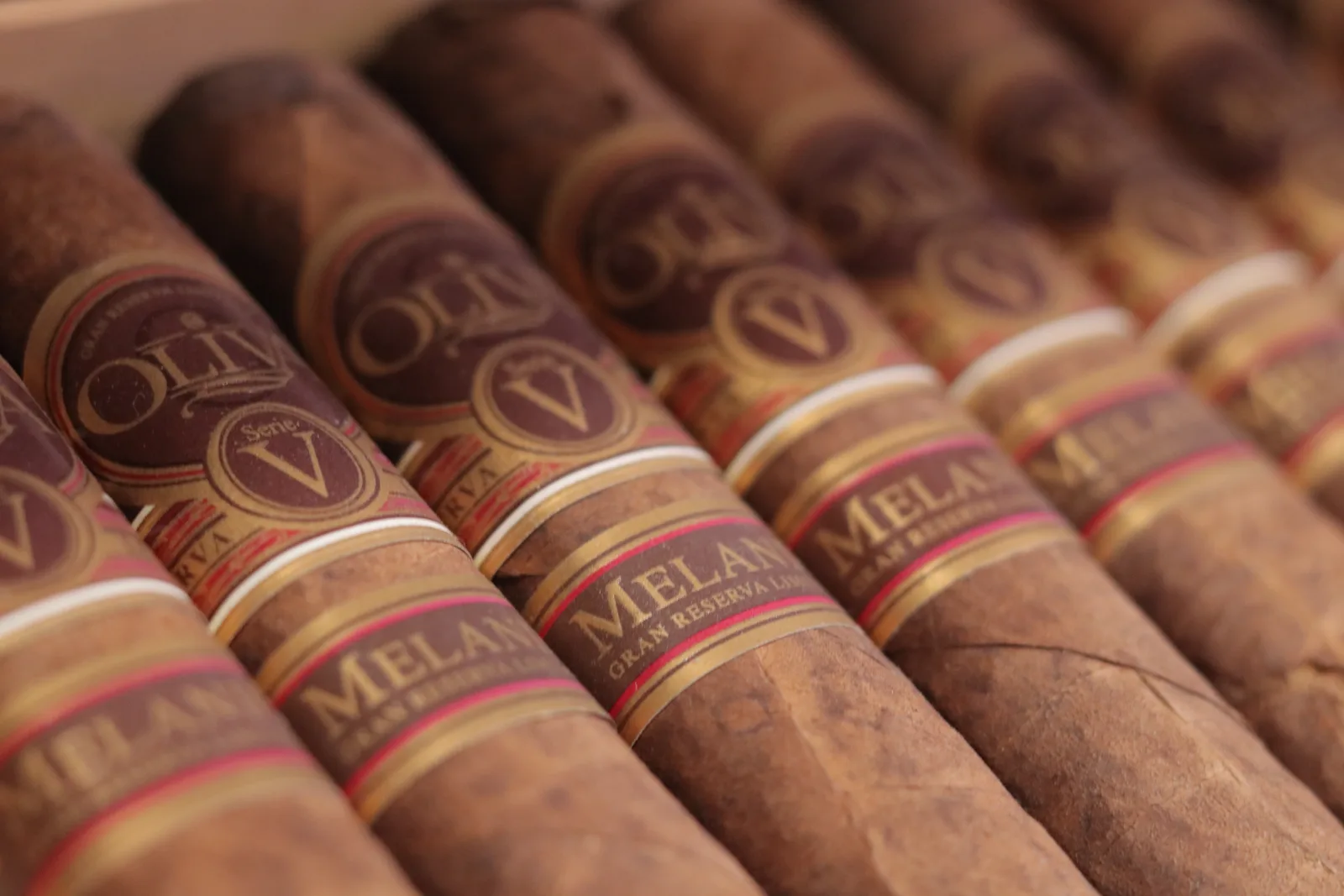 Oliva Serie V Melanio
