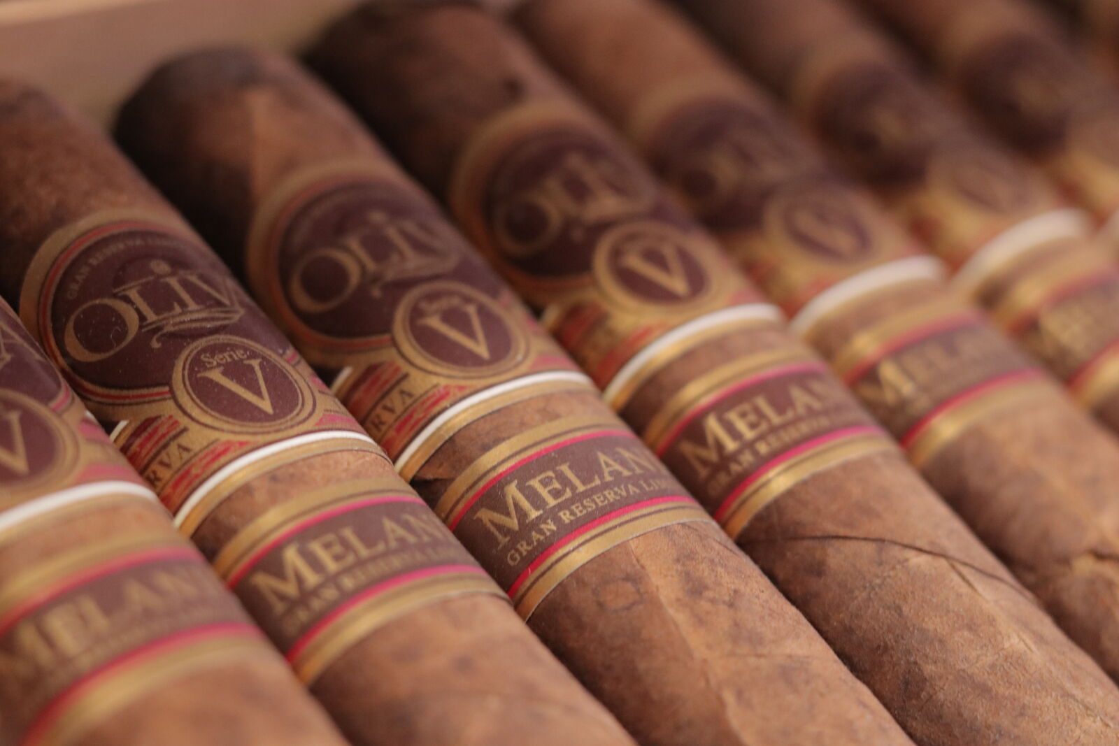 Oliva Serie V Melanio cigar