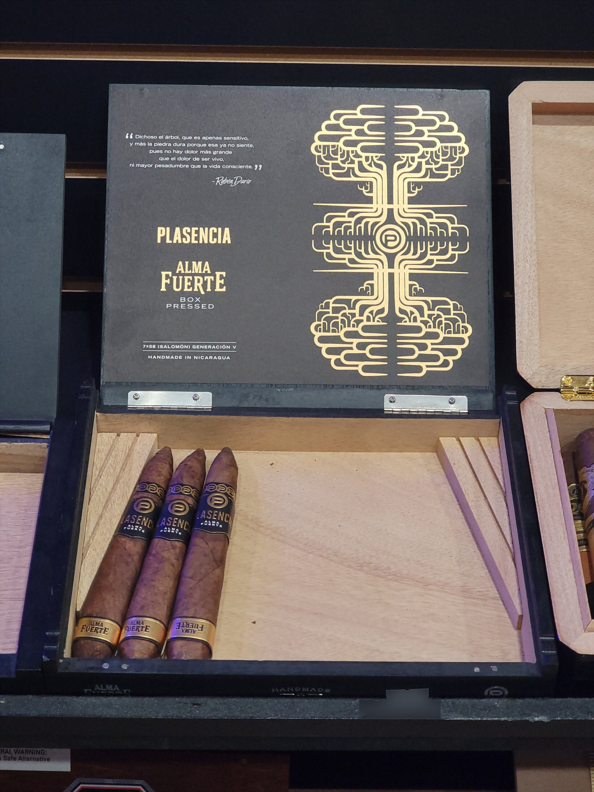 A black Plasencia Alma Fuerte Box Pressed box open, showing gold artwork on the lid