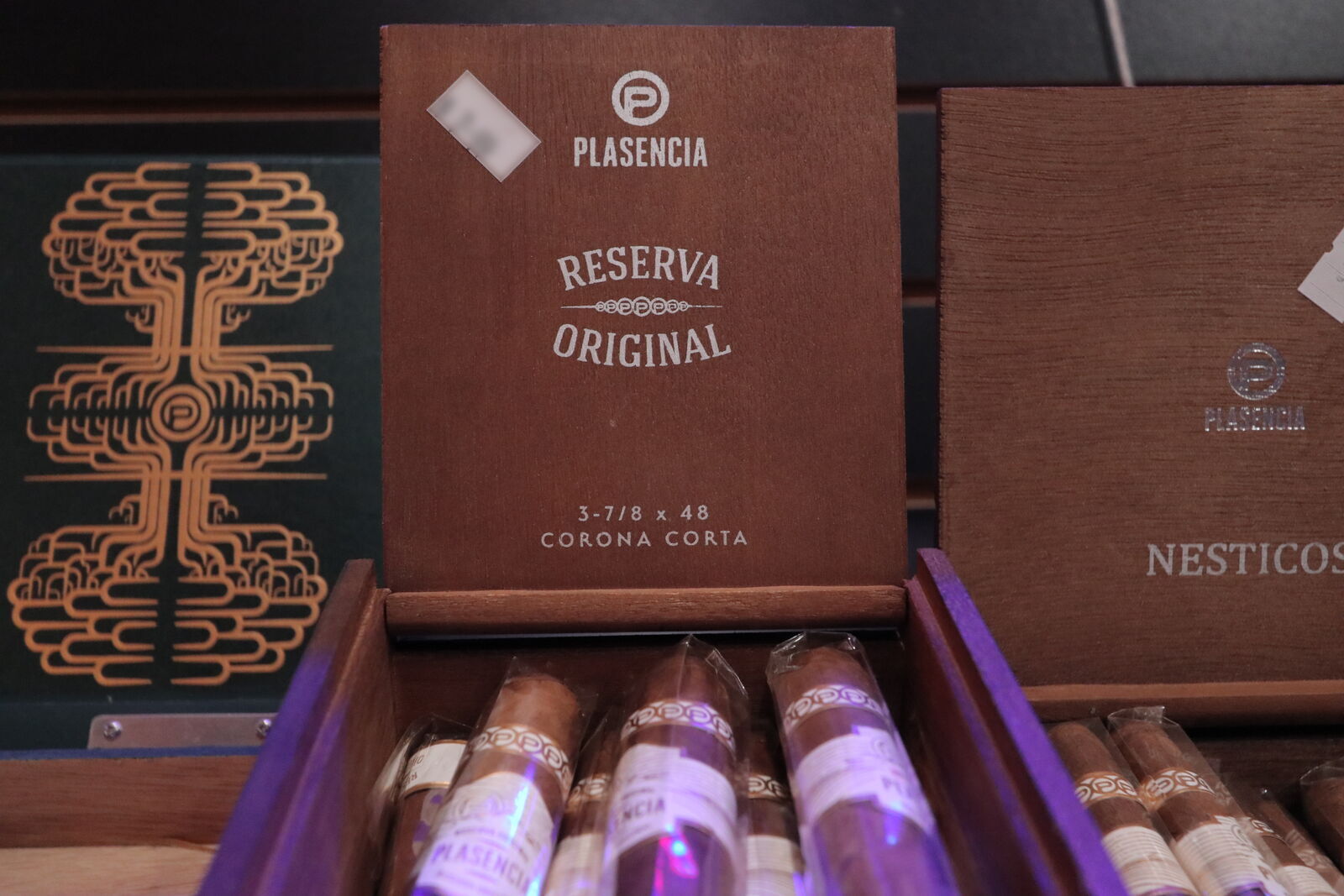Plasencia Nesticos cigar — Alternate angle